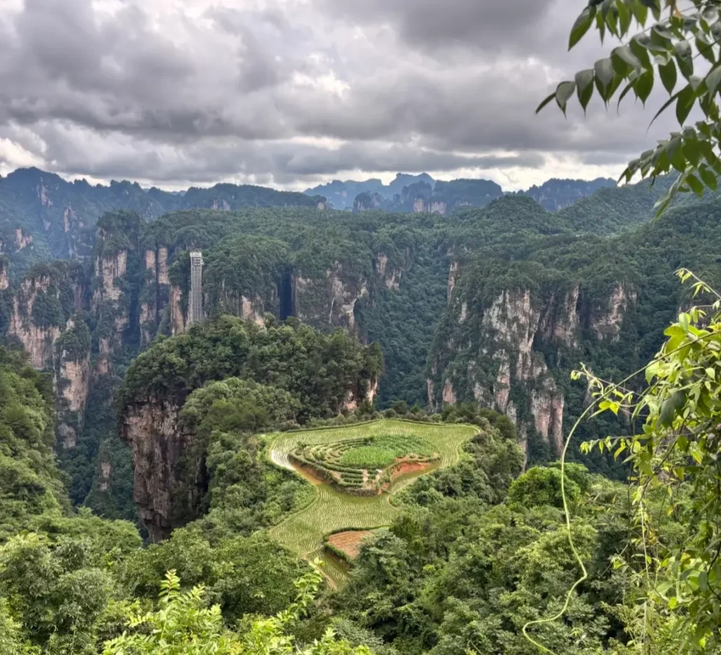 The Sky Field terrace perched on a high cliff surrounded by deep canyons at Laowuchang
