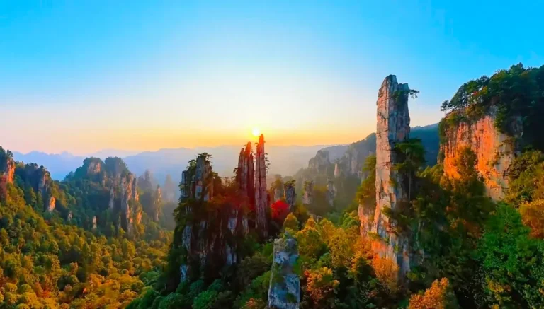 Panoramic distant view of Tianzi Mountain peak forests bathed in warm morning sunlight in Zhangjiajie