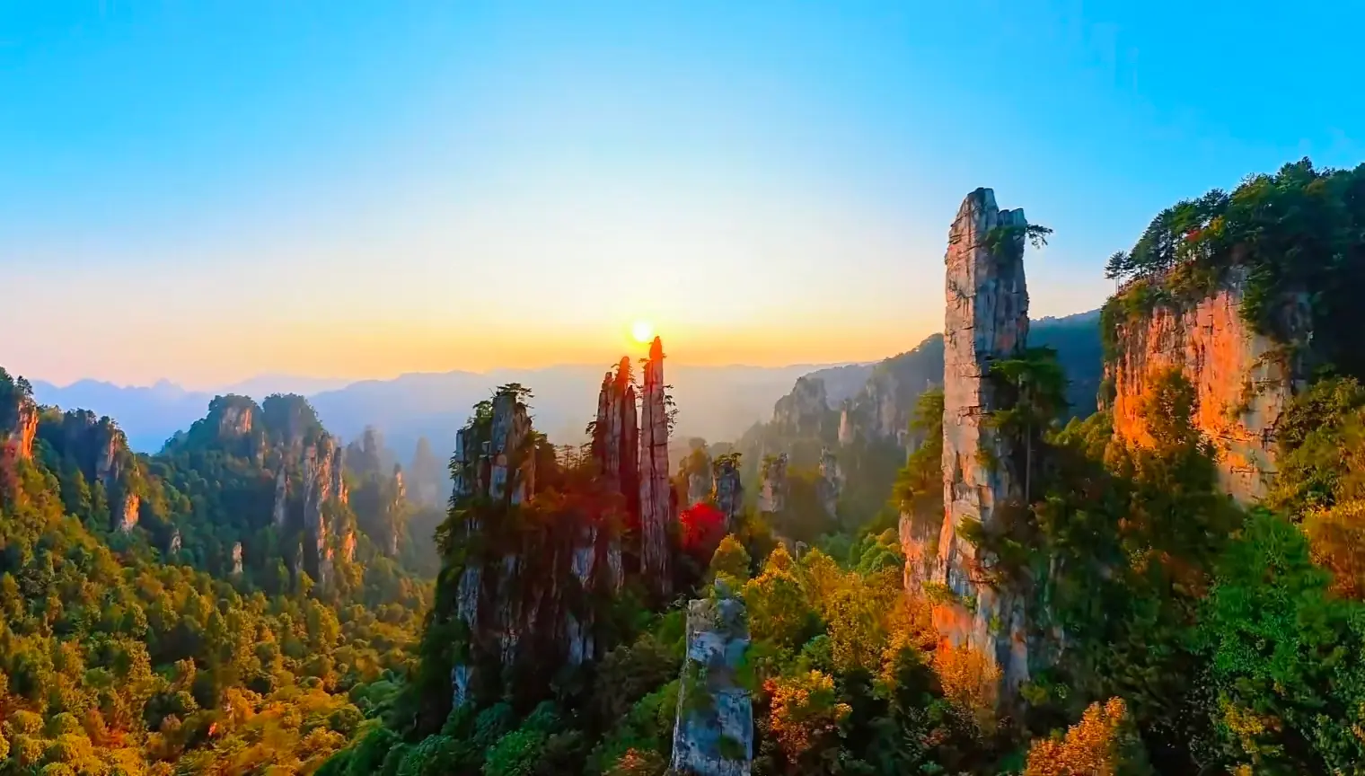 Panoramic distant view of Tianzi Mountain peak forests bathed in warm morning sunlight in Zhangjiajie