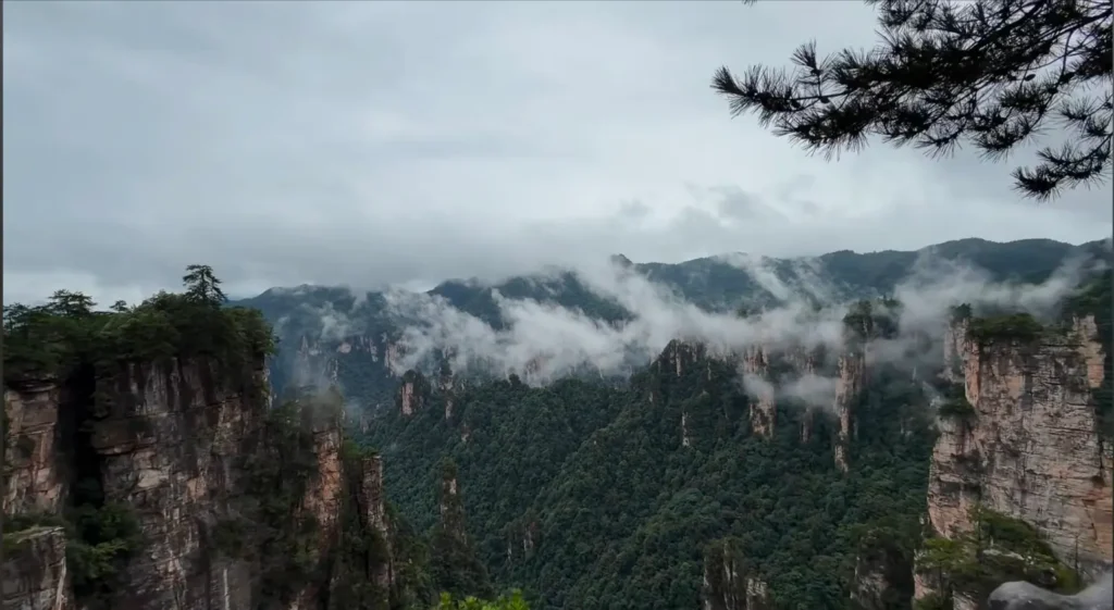 Misty deep canyon view of Shentang Gulf enveloped in morning fog on Tianzi Mountain